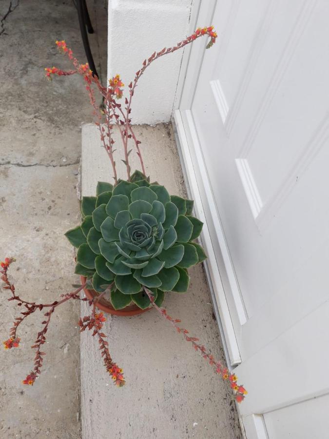 Villa Kuca Za Odmor Varos Vrlika Exterior foto