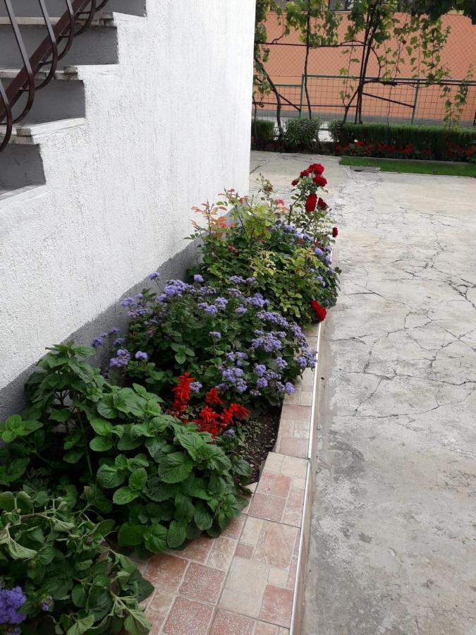 Villa Kuca Za Odmor Varos Vrlika Exterior foto